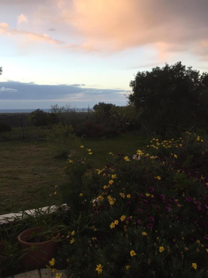 Mareulivi Bed & Breakfast Ostuni Exterior photo